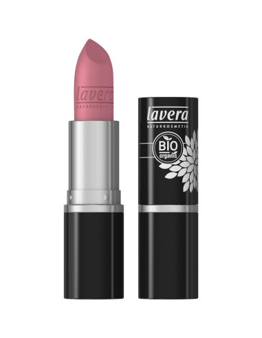Dainty rose - LAVERA
