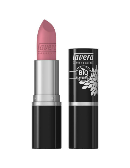 Dainty rose - LAVERA