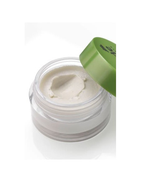 Highlighter- ALVERDE