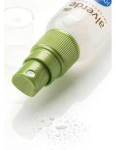 Spray de Fixation - ALVERDE 2
