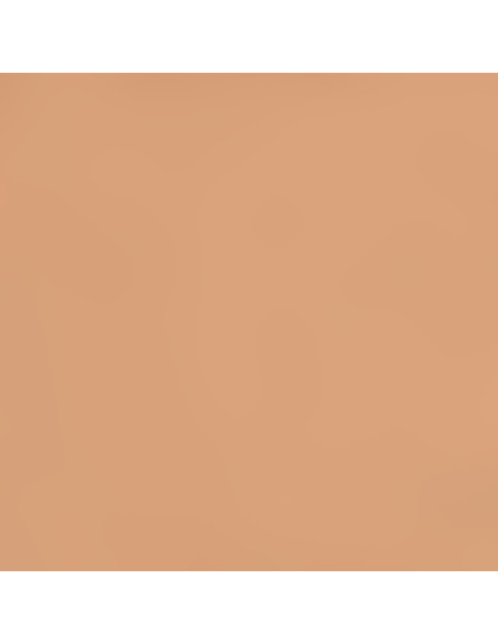 494 Brun orangé