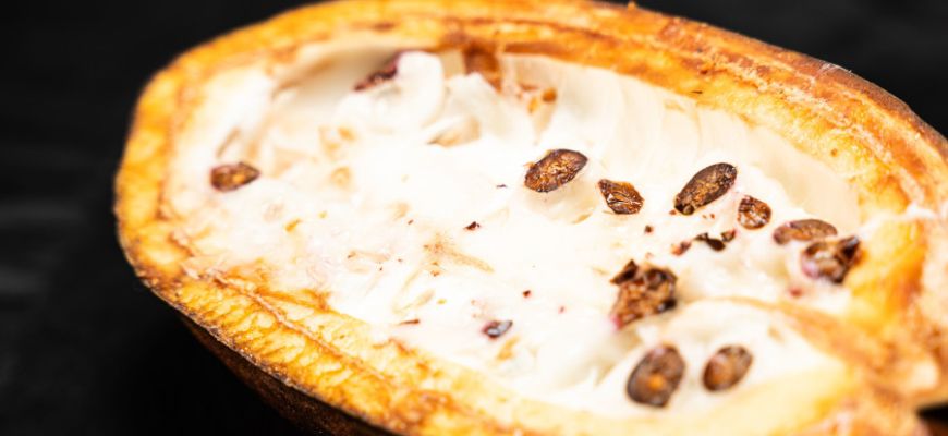 Beurre de cacao: ses atouts en cosmétique